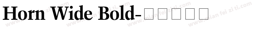 Horn Wide Bold字体转换